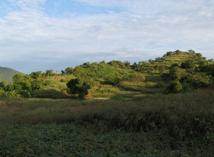 Yeoor Hills in the daytime