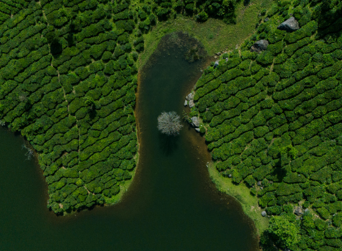 Aerial view of Coorg