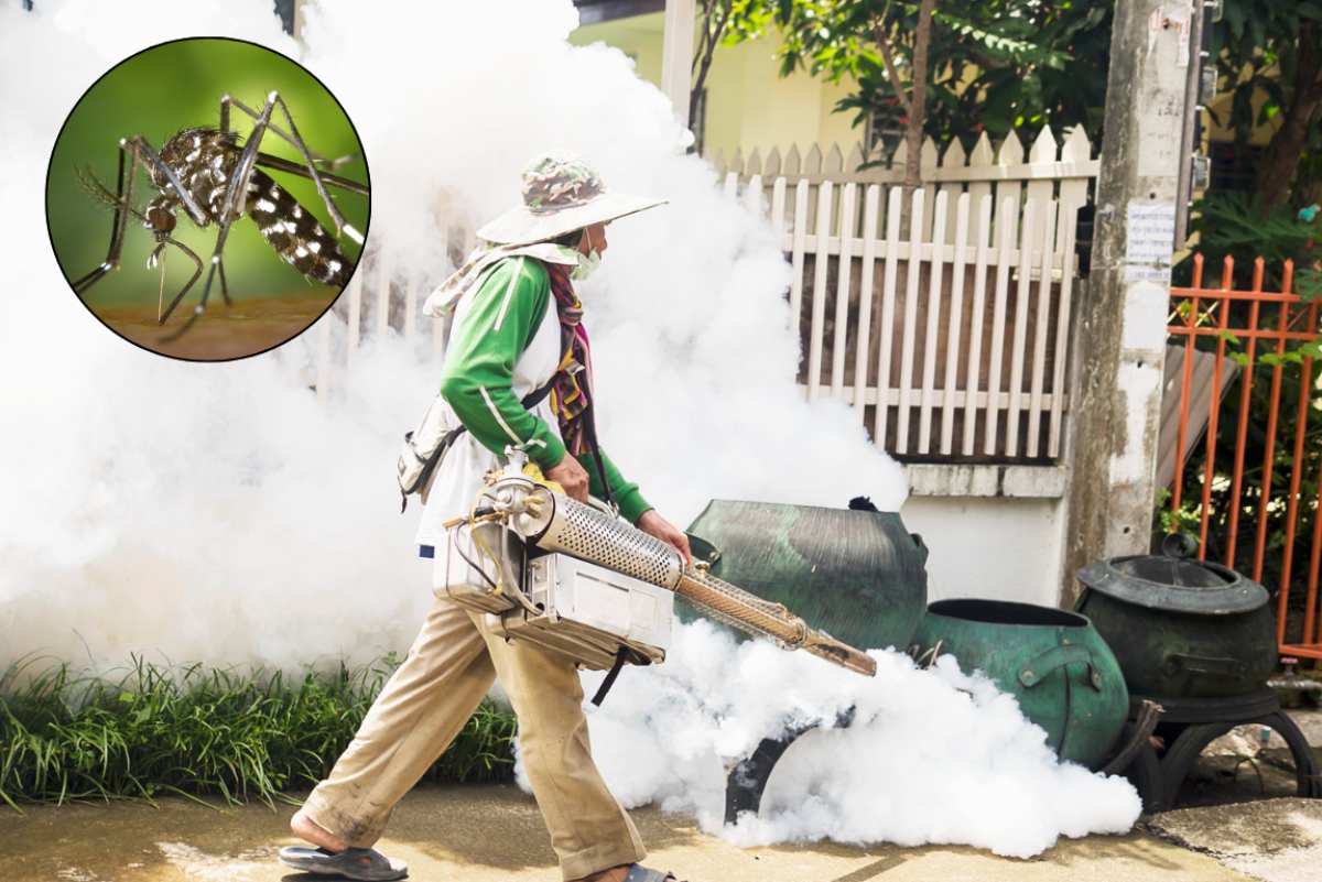 Chikungunya Travel Warning 2025