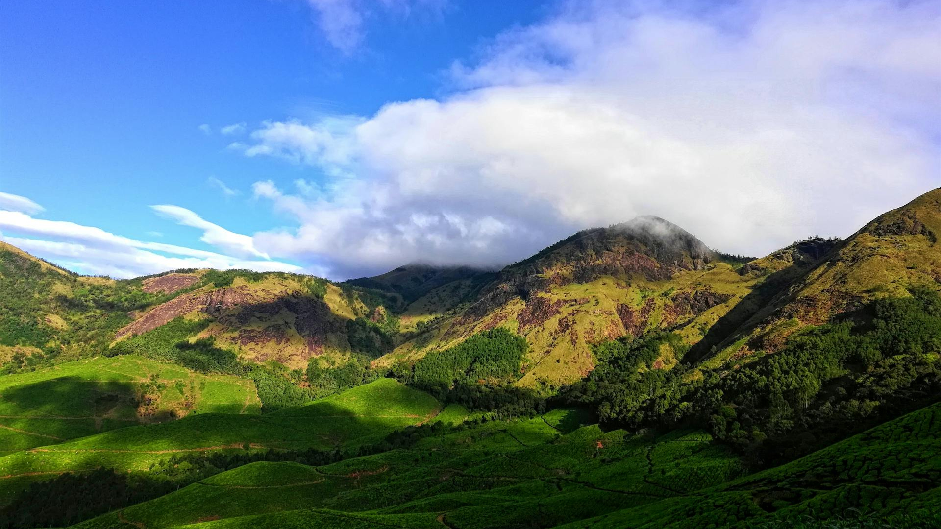 things to do in Kerala