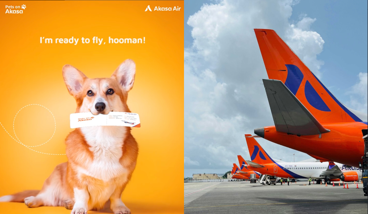 Pets on Akasa