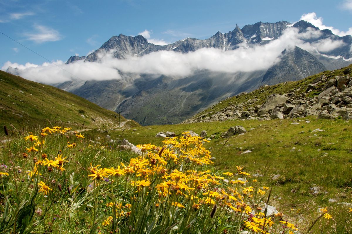 Surreal Places To Visit In Northeast India 