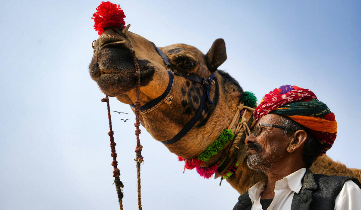 The Pushkar Fair 2025