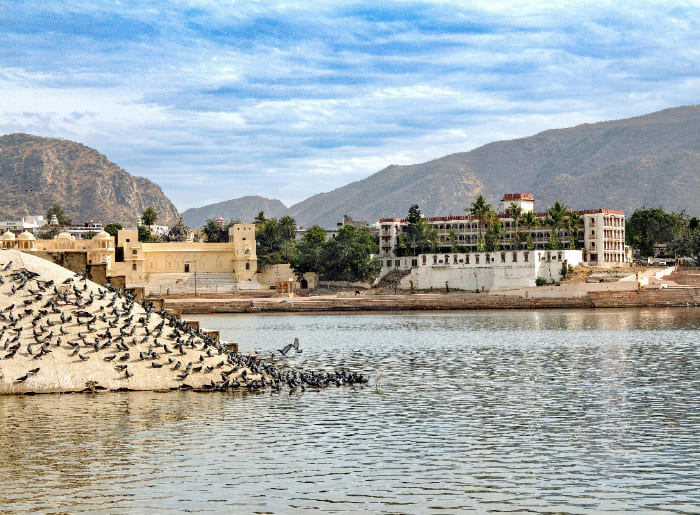 The Pushkar Fair 2025