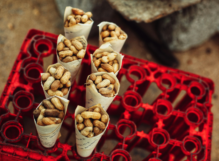 World Food Day 2025
