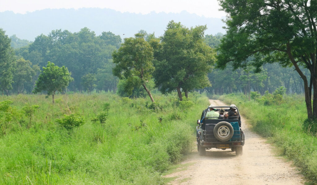 How Many Safaris To Do In Tadoba