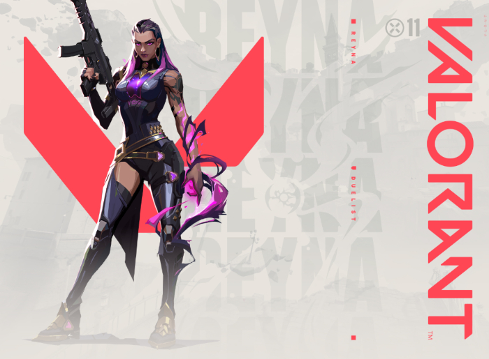 Valorant X Rolling Loud India