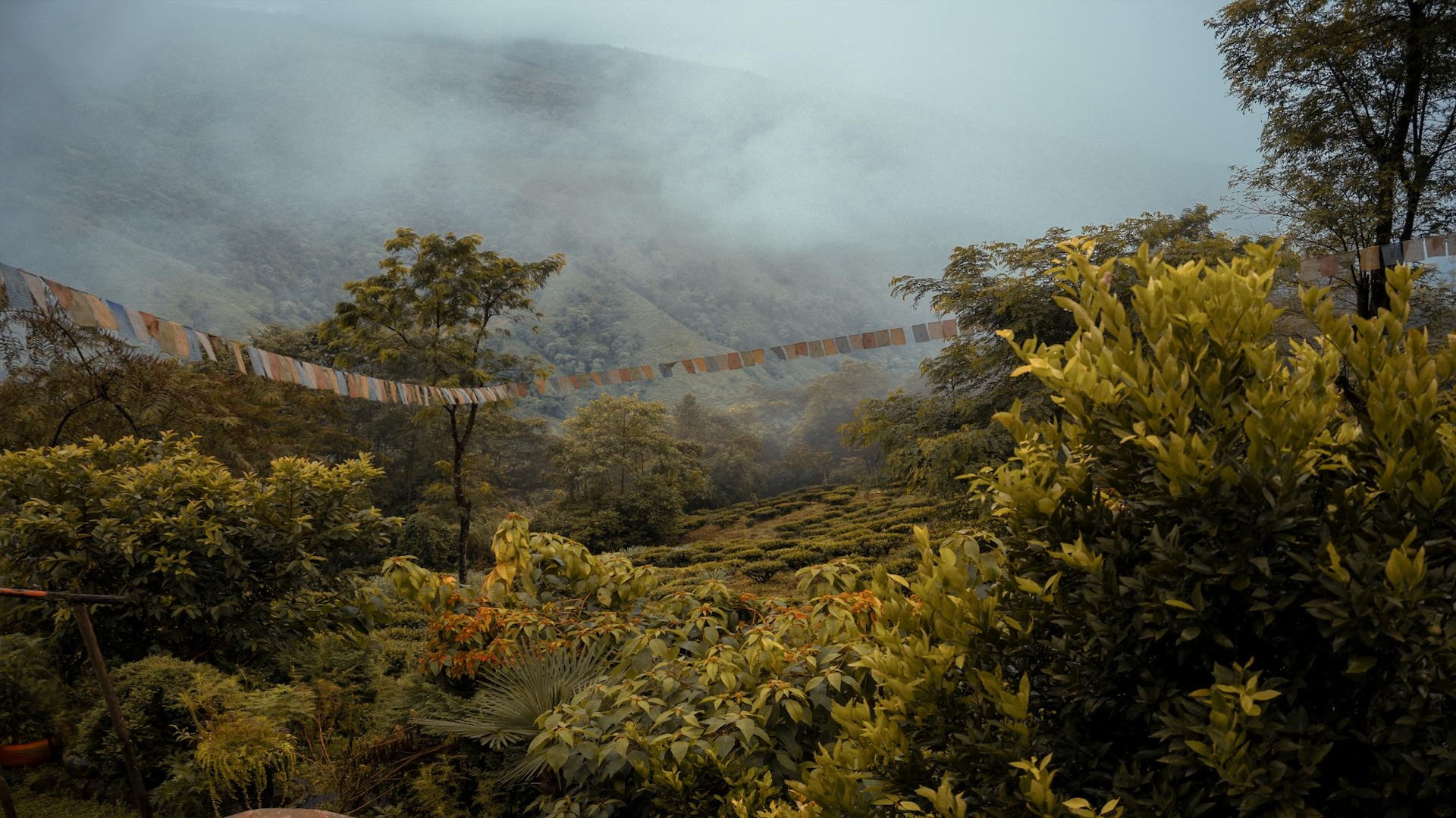 Where Was Main Hoon Na Shot?