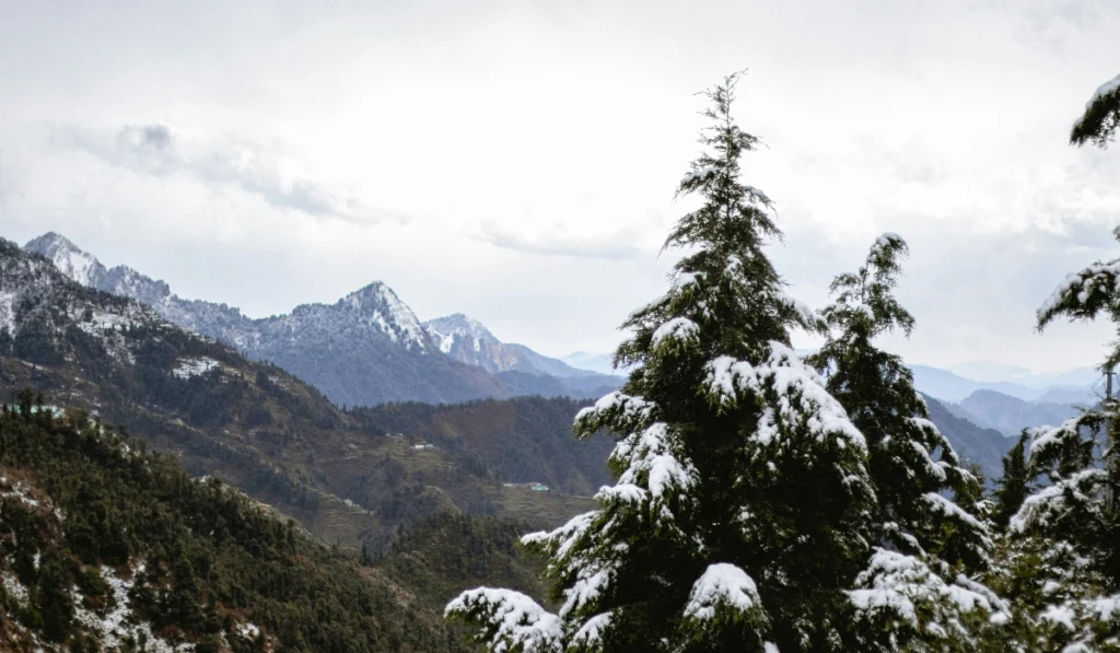 Snowfall In India In January