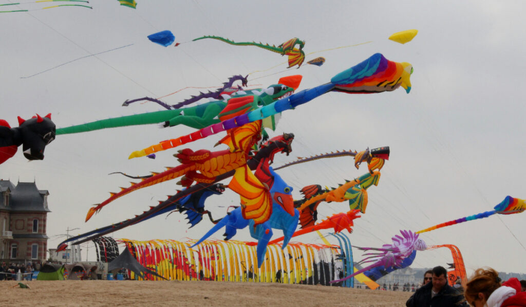 Desert Kite Festival In Jodhpur