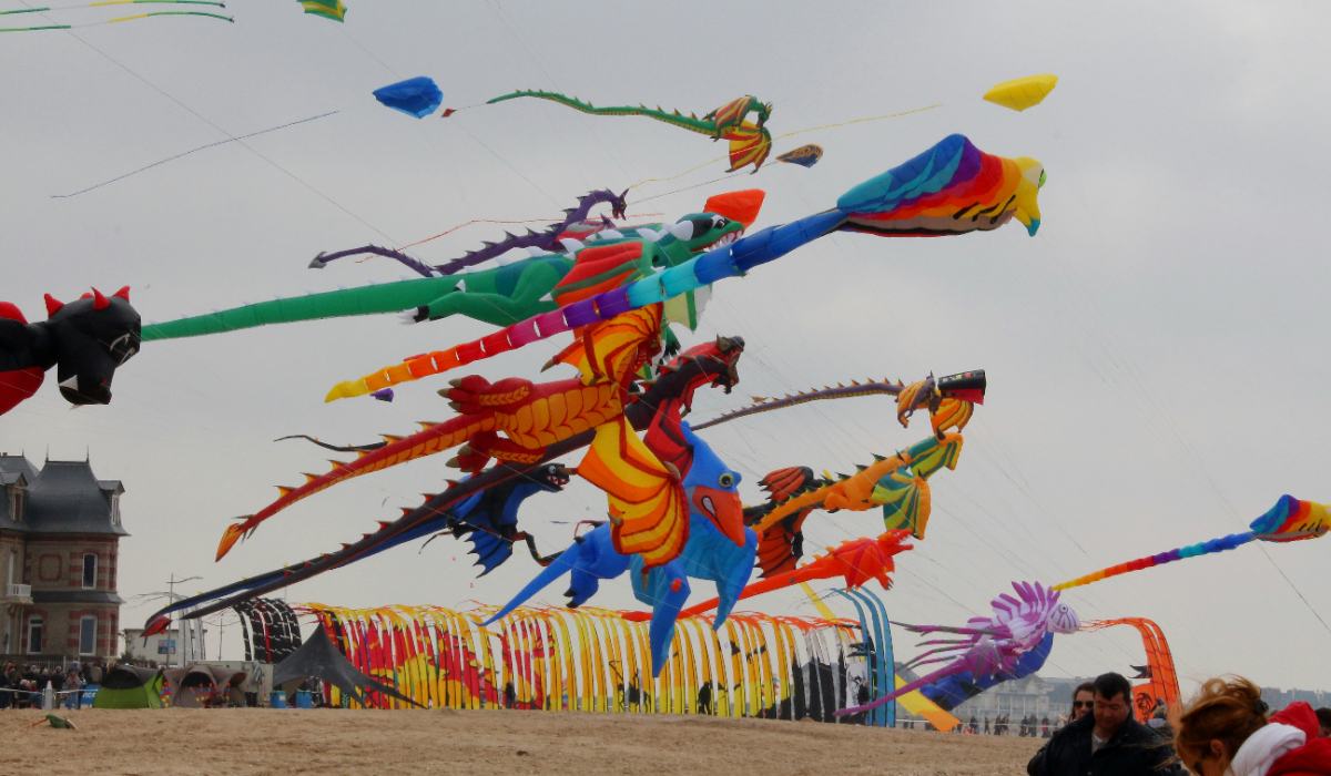 Desert Kite Festival In Jodhpur