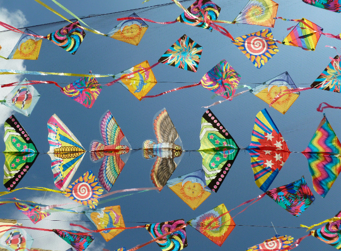 International Kite Festival 2026 In Ahmedabad