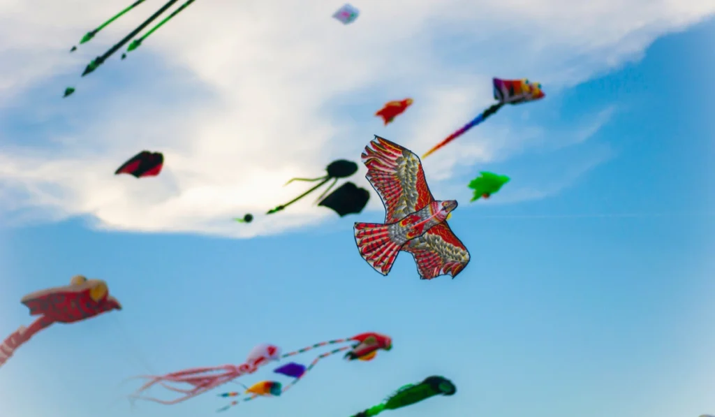 International Kite Festival 2026