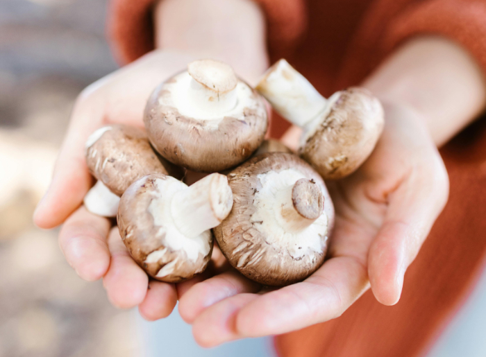 Things To Do In Mumbai This Weekend (9th To 11th January)