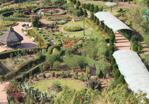 10 Things To Do In Pachmarhi For An Awesome Holiday