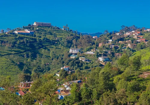 12 Things You Must Do In Ooty