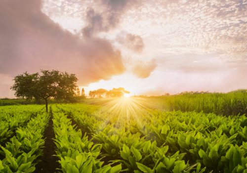 Belgaum Travel Guide