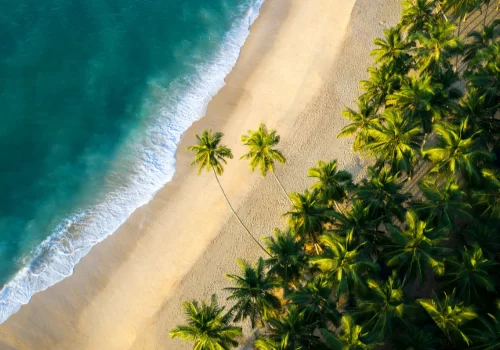 Best Time To Visit Sri Lanka