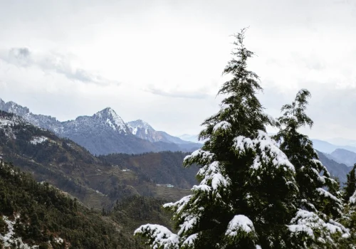Snowfall In India In January