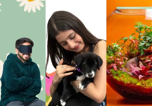 Things To Do In Delhi This Weekend