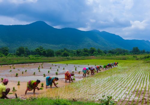 Things to do in odisha