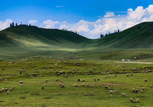 Offbeat Travel Experiences in India