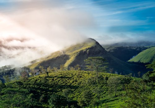 places to visit in Vagamon