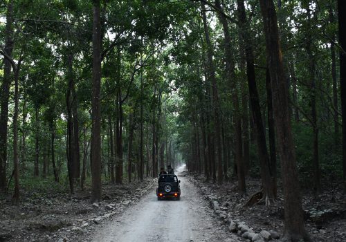 ashish-sangai-G9iHNAL5uyU-unsplash-Jim-corbett