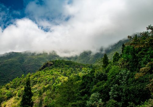 best homestays in Darjeeling