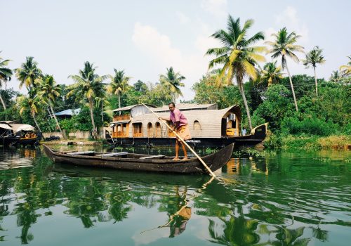 kyran-low-MvkLKGtBcUA-unsplash.-Alleppey