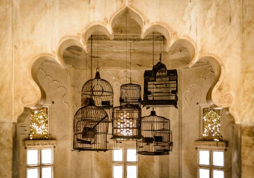 Photo credits: Unsplash